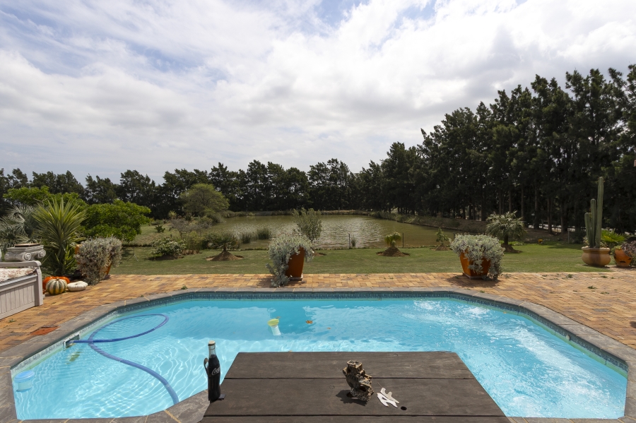 4 Bedroom Property for Sale in Firlands Western Cape